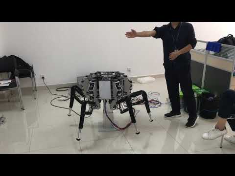 Hexapod Walking Robot Spider Xii DEMO Part # 3