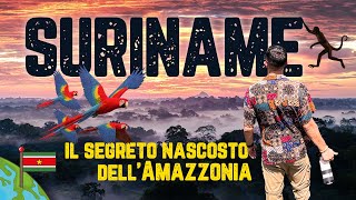 🇸🇷 SURINAME 🇸🇷 - Sono stato nel paese più sconosciuto del SUD AMERICA