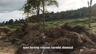 DOCUMENTARY VIDEO | CASE STUDY | ECO646