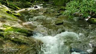 Moccasin Creek - Clarksville, Georgia