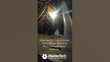 Ever wonder how mold is removed from a contaminated attic?
