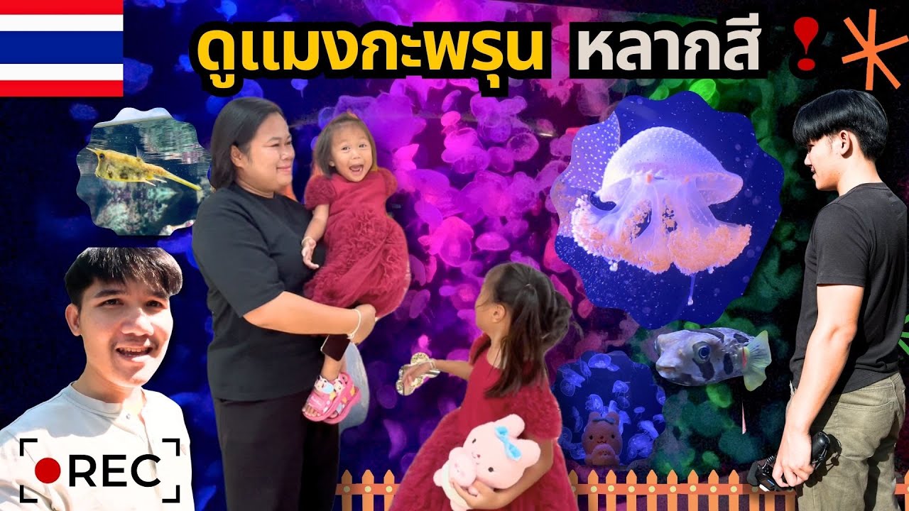 เที่ยวพิพิธภัณฑ์​สัตว์​น้ำบางแสน อควาเรียมบางแสน สถาบันวิทยาศาสตร์​ทางทะเล | อิมเมจเพียงออ