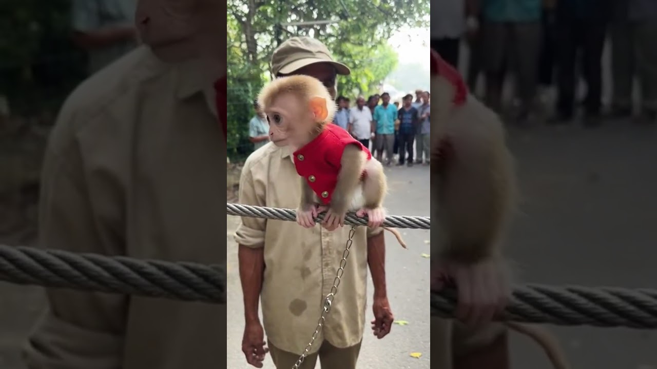 Sometimes, helping one soul can change many lives forever 