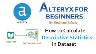 Alteryx - How to calculate the Descriptive Statistics in the dataset