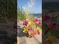 #nature#glitter#flowers#greenery