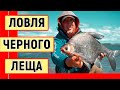 Ловля черного леща на Амуре. Рыбалка на фидер. Монтаж симметричная петля.