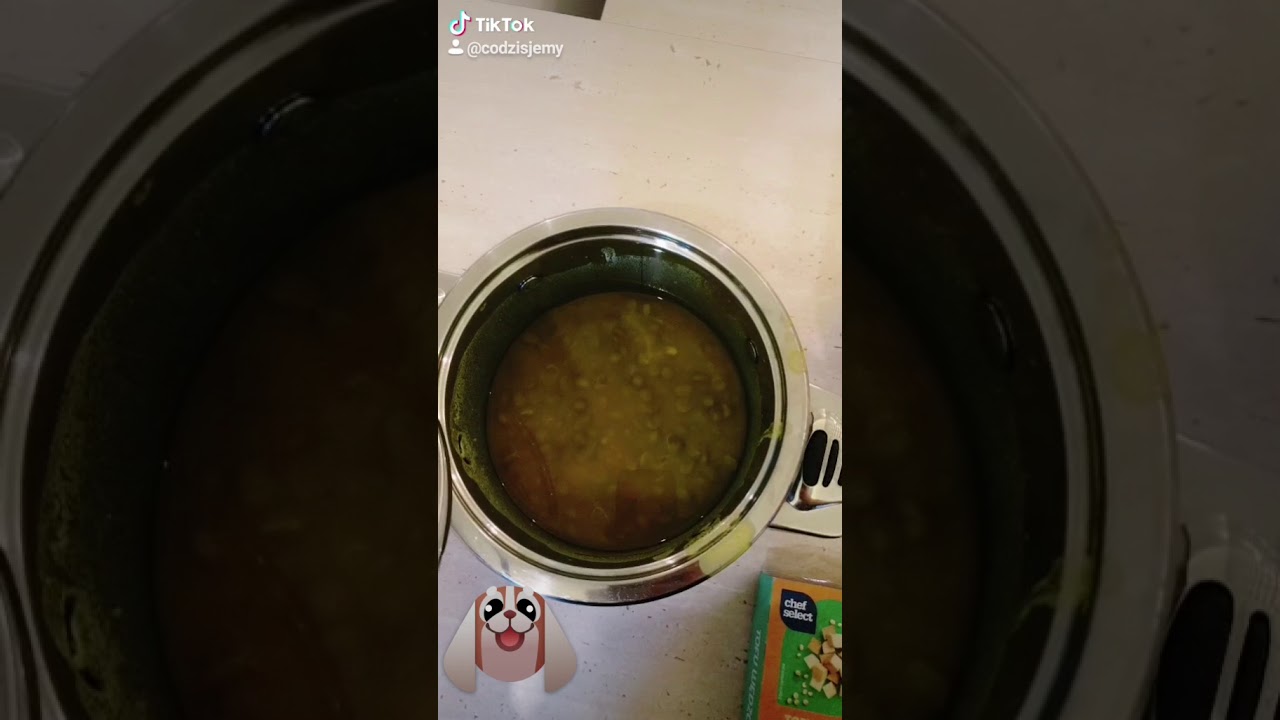 Co na obiad kompletne menu na obiad w czwartek, z golden retrieverem w