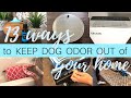 13 Ways To Keep Dog Odor Out Of Your Home | Getting Rid of Dog Odor | Levoit Air Purifier