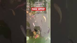 please support #jobbiehebriovlogs