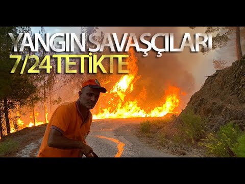 Ormanın Yangın Savaşçıları
