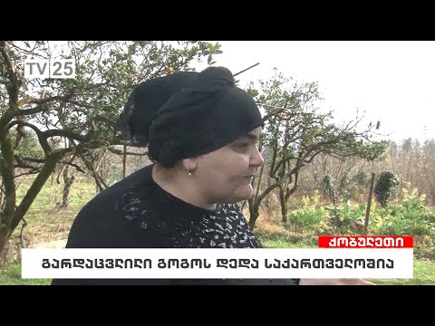 გარდაცვლილი გოგოს დედა საქართველოშია