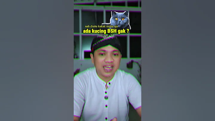 Watch the video about Ada British Short Hair (BSH), ada juga Javanese Short Hair (JSH), ada yang tau bedanya gak ?