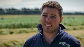 John Deere 8000 Series Self-Propelled Forage Harvester - May Brothers Contracting