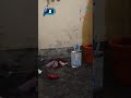চল ভাই আজকে মাল খাই। #shorts #viral