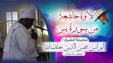 تلاوة خاشعة من سورة يس@فضيلة الشيخ أبو أنس شمس الدين خلف الله 🔸حفظه الله