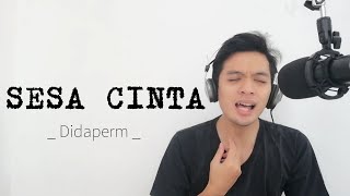Sesa Cintacover By Didaperm