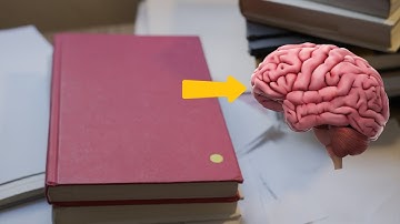 Reading transforms your brain. Let me explain