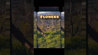 #flowers, Cover #mileycyrus