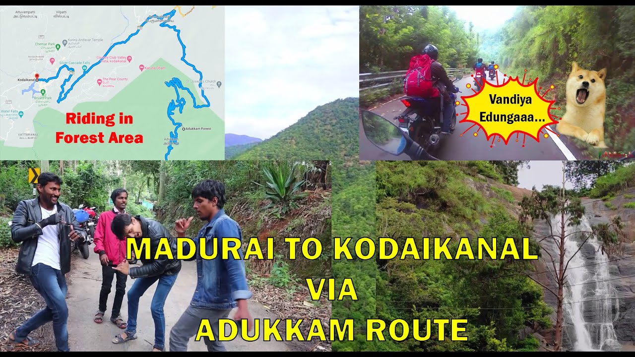 Ivalo Hair Pin Bendsa...😱|Madurai to Kodaikanal Moto Vlog🏍️|Adukkam Forest Area⛰️|Infosthetics