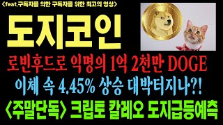 도지코인 도지코인전망 도지코인전망호재 shib doge 일론머스크 코인전망 비트코인 이더리움 도지코인