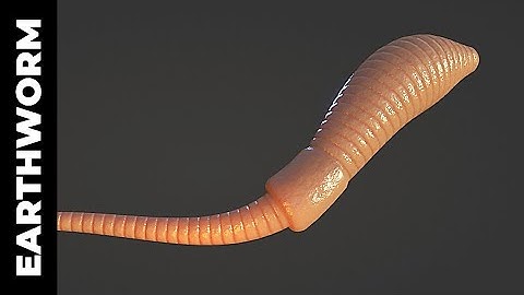 BLENDER: EARTHWORM