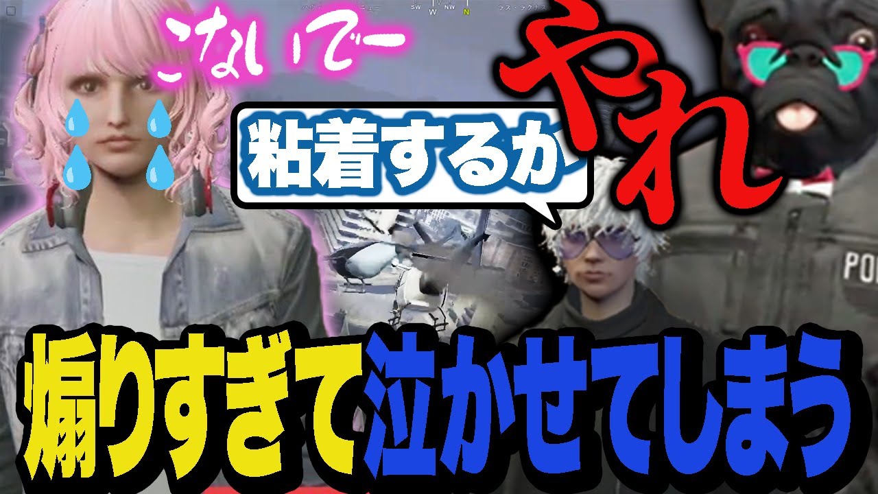 椎花まほのヘリだと分かり地の果てまで追いかけ続ける犬ルリ&みこだ【ストグラ/警察】