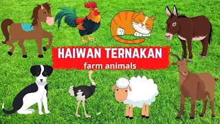 HAIWAN TERNAKAN | Bahasa Melayu dan Bahasa Inggeris | untuk kanak kanak