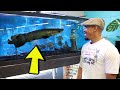 This Aquarium Store Is AMAZING!! Skoolz Of Fish Store Tour