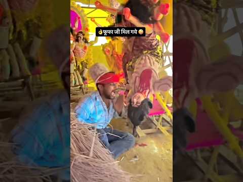#video /फूफा जी मिल गये 🤪/ #youtubeshorts #trendingvideo #comedyvideo #viralreels