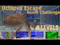 Octopus Escape Room Challenge