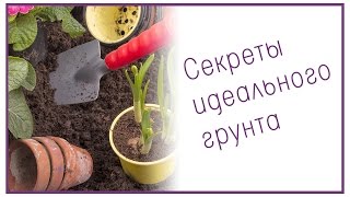 Секреты идеального грунта Секреты идеального грунта