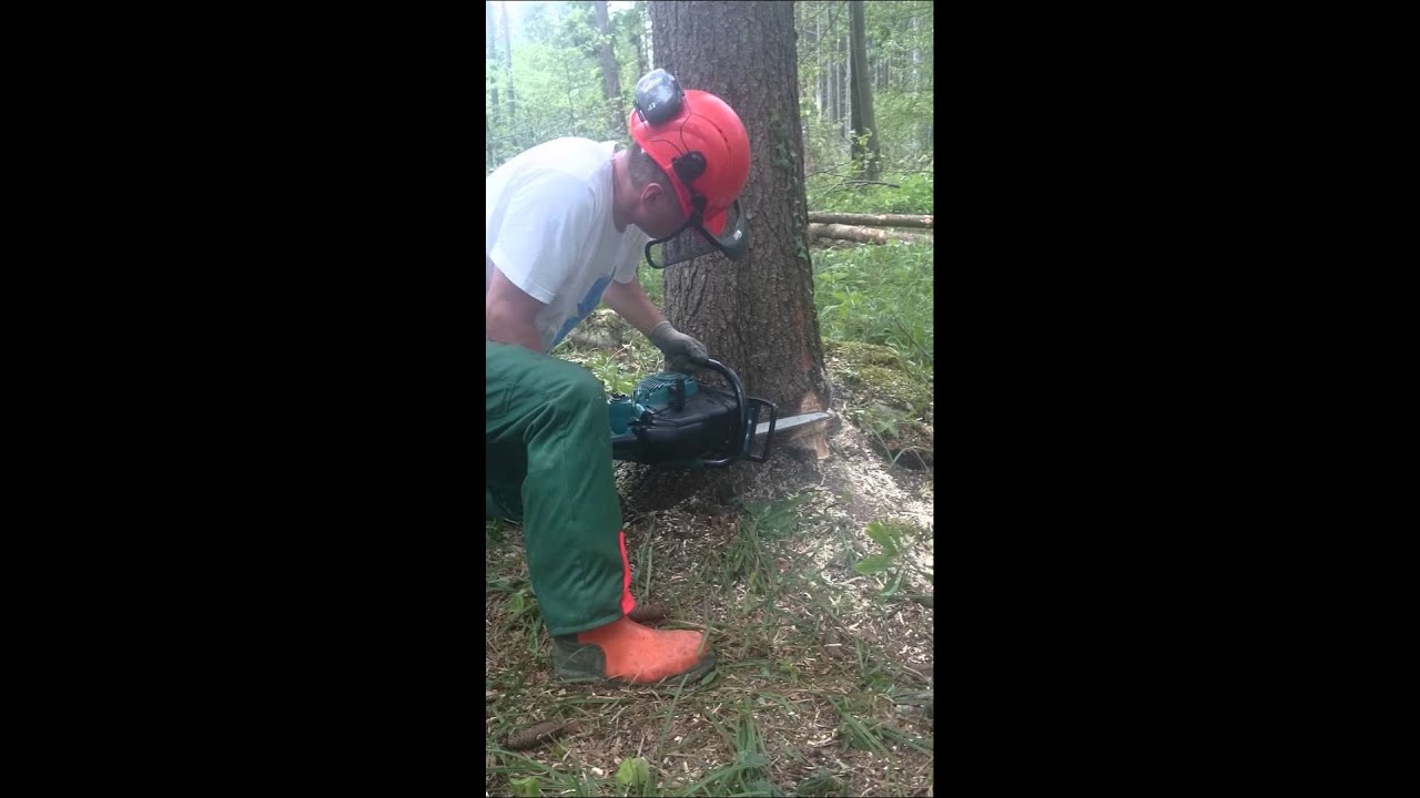 Makita in tečajnik za gozdar (npk) (2)