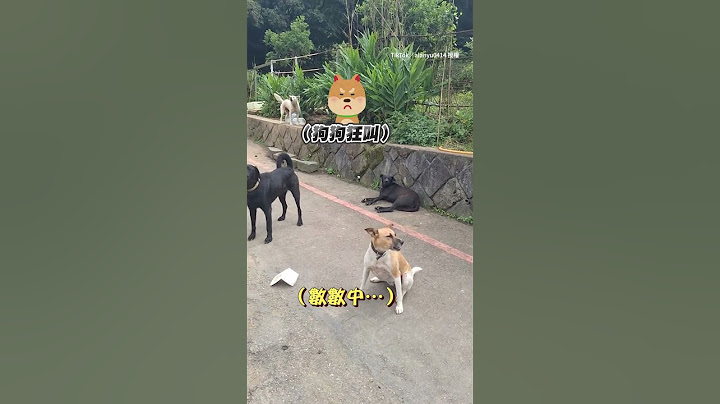 【全部起床重睡】男熱情打招呼...狗狗們驚醒爆氣狂叫！ #Shorts @funny_videos