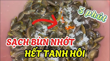 Đừng Ngâm Ốc Với Nước Nữa - Làm Thêm Bước Này Ốc Sạch Bùn Nhớt Hết Tanh Hôi
