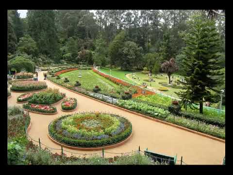 Ooty Botanical Garden|Latest|Ooty tourist places|Ooty tourist places
