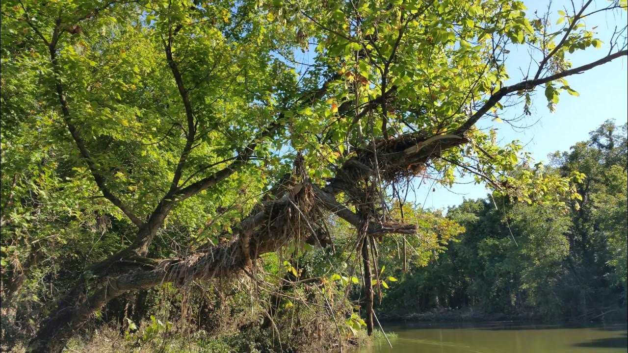 La Cygne Reservoir, Kansas...Boat trip with Jack Stotlar, Wed, Sept 11