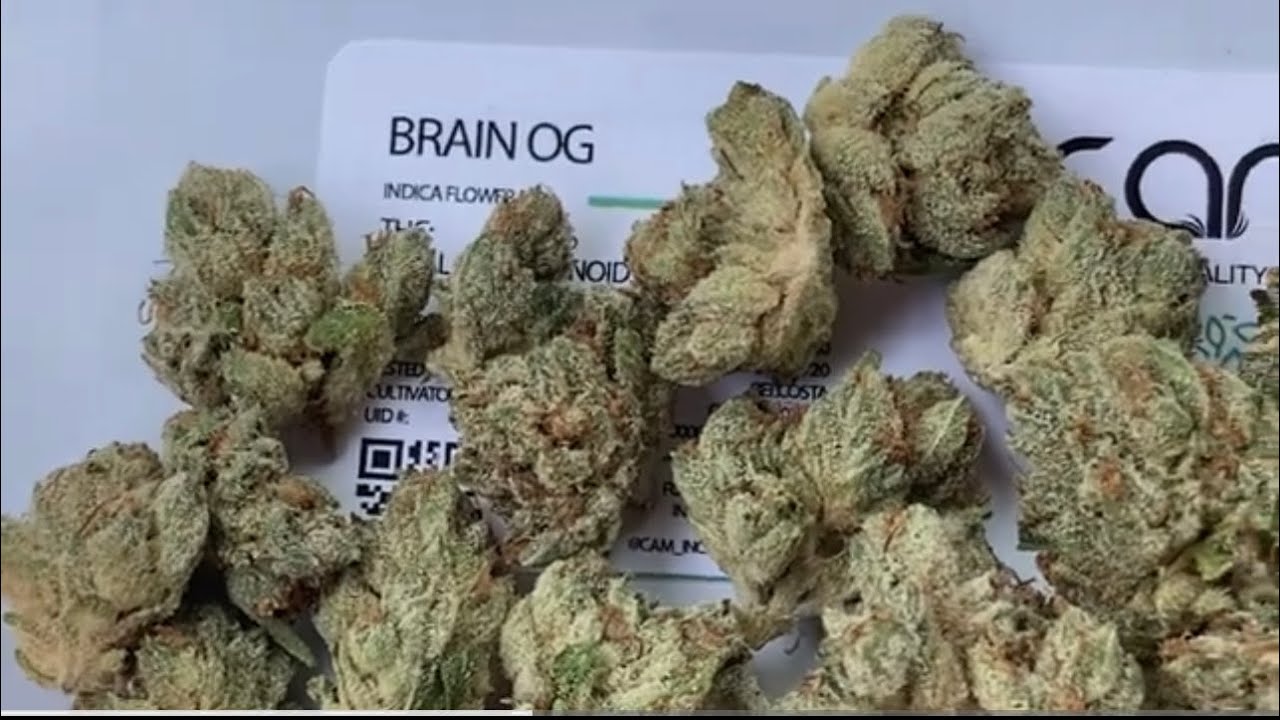 SMOKING BRAIN OG OUT OF THE GLASS BLUNT