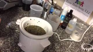 Herbal Oil Infusion