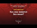 Как ему живется без меня?