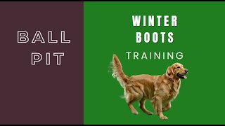 1 - Wearing Boots - Handling the Paws