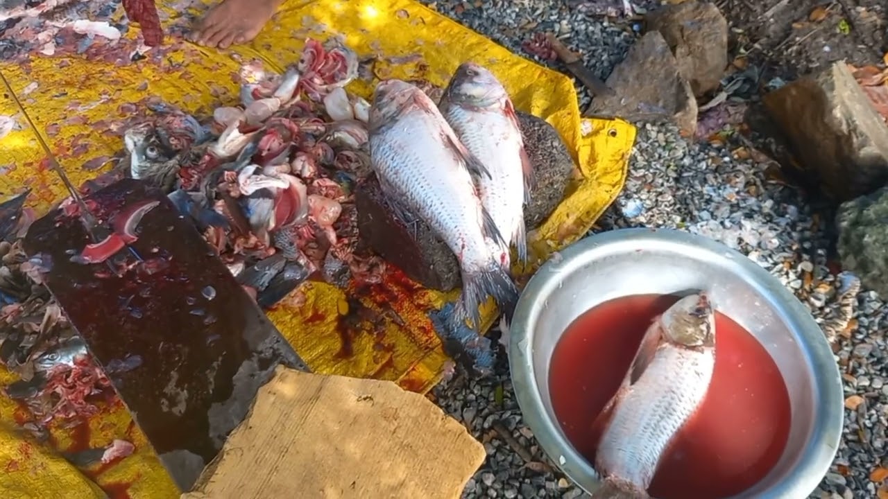 Hard working men selling and cutting fish and please subscribe the channel