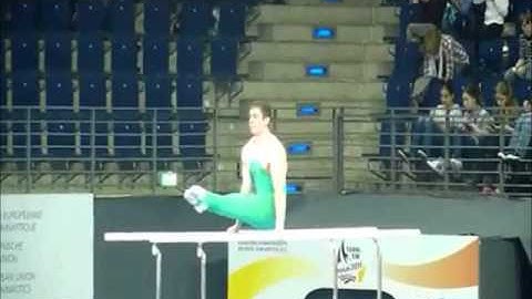 Parallel Bars L Sit Gymnastics Video