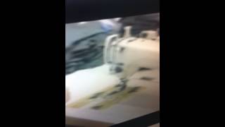 IMG 1791