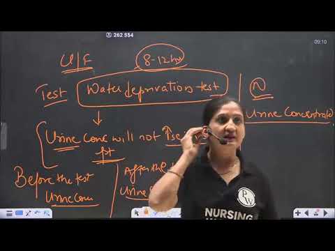 172  280 Endocrine System 13 Posterior Pituitary ADH Part 2