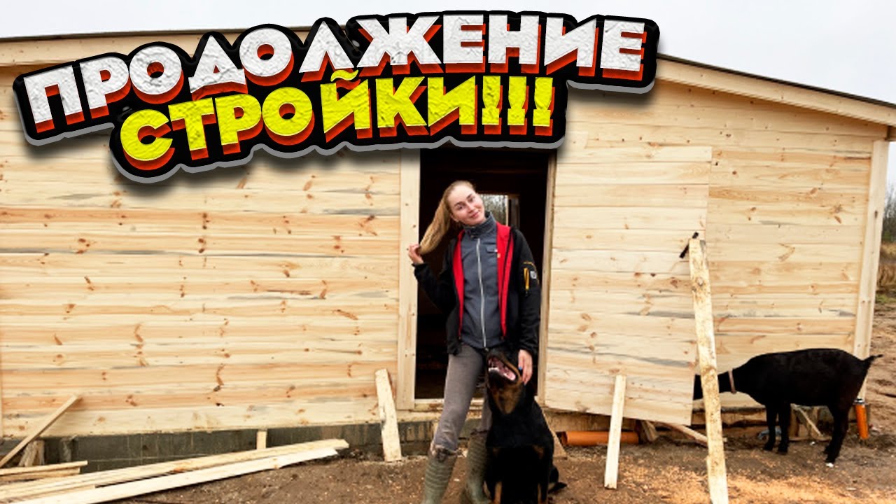 Дзен видео молодая ферма