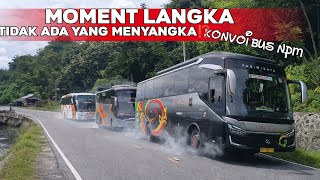TIDAK ADA YANG MENYANGKA‼️KEJAR KEJARAN BUS PADANG JAKARTA NPM & MIYOR