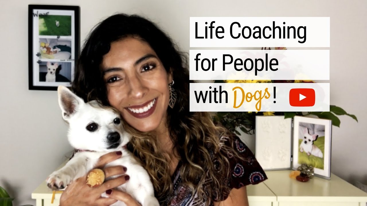 MonchiPaw | Life Coaching for People with Dogs
