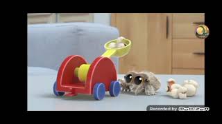 Lucas the spider in "House Is Breathing" - Full Episode 17 -