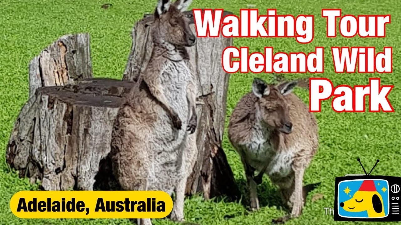 Walking Tour: Cleland Wild Park || Adelaide South Australia|| by Stanlig Films