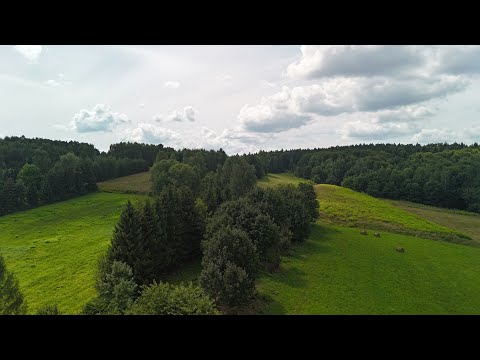 Wideo: Działka budowlana o powierzchni 30 arów w Brodach